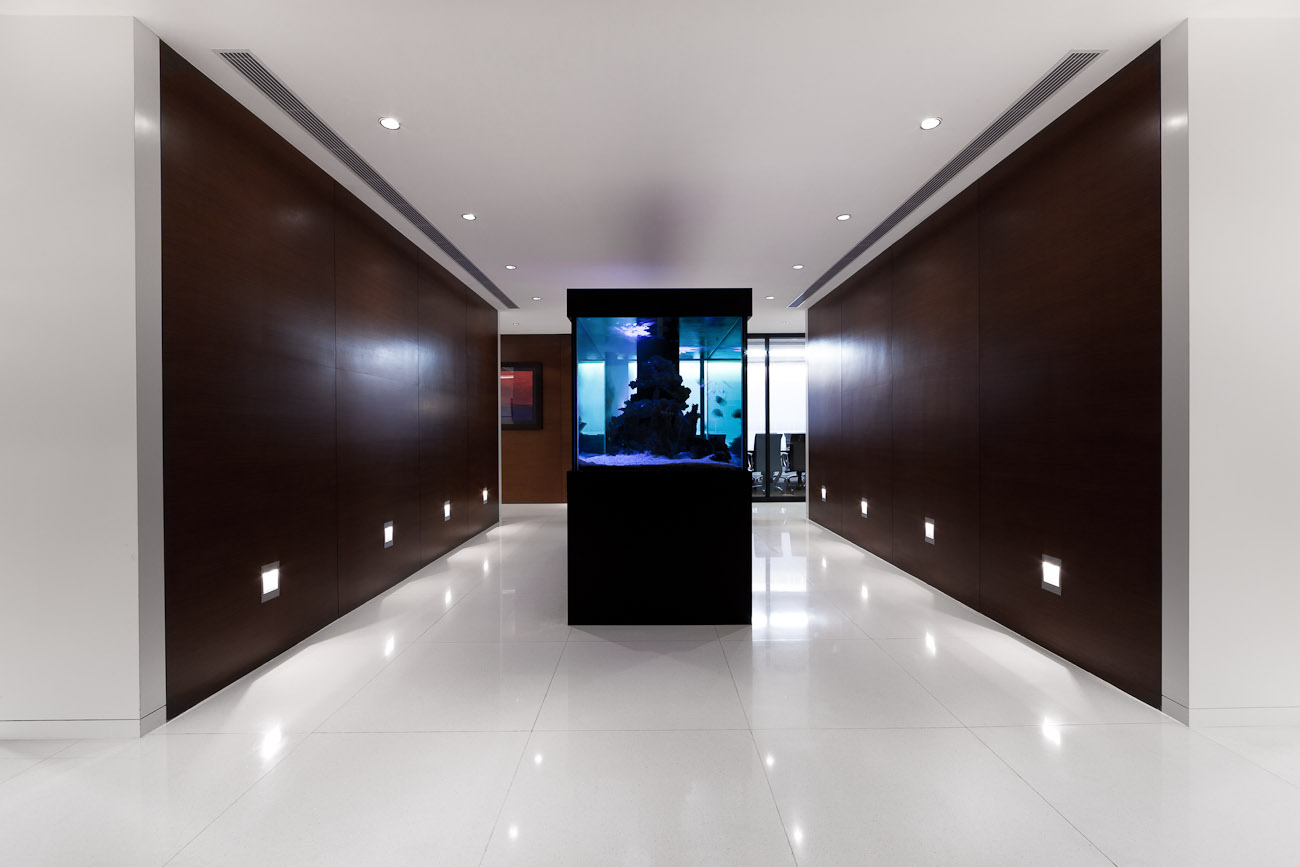 lui design / i-square office